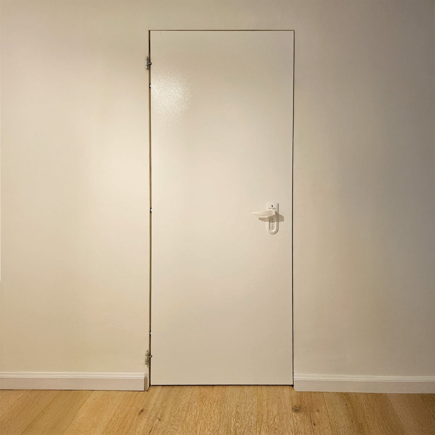 Blast- & Gas-Resistant Safe Room Door